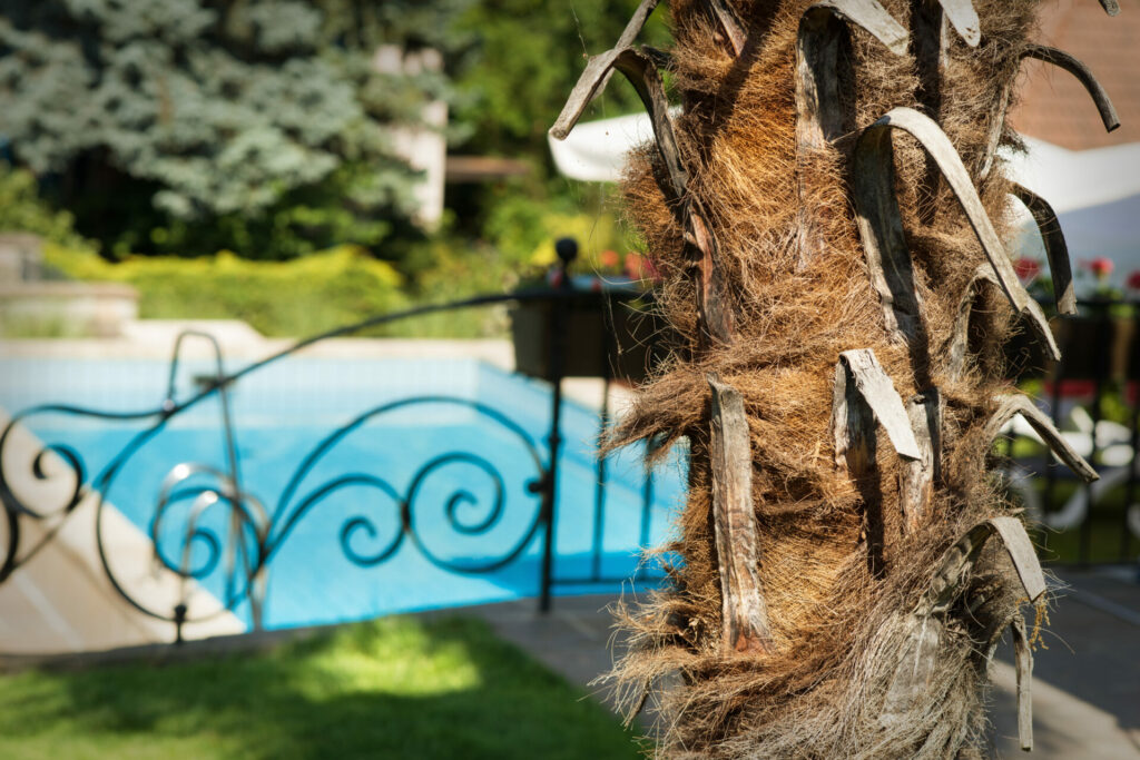 DSC_3600 La nostra casa svg+xml;charset=utf