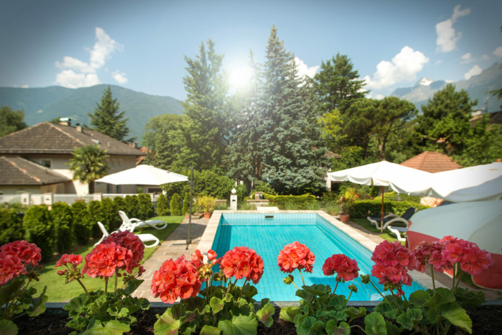 DSC_3686 La nostra casa svg+xml;charset=utf