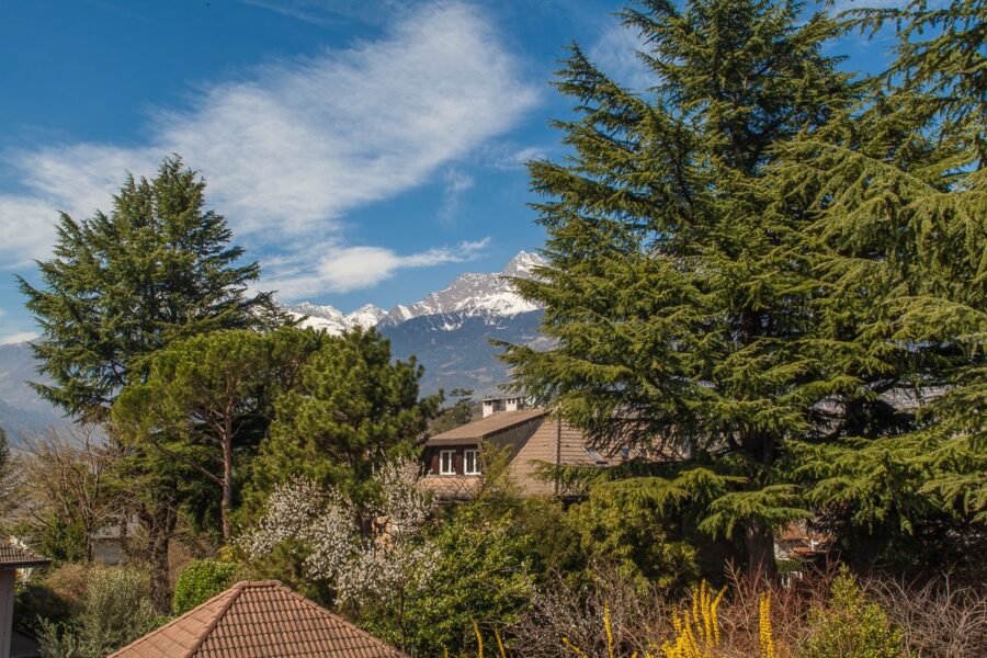 Apartments in Meran 15 Gehminuten vom Stadtzentrum