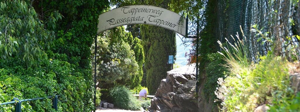 promenade tappainer1 Merano e dintorni svg+xml;charset=utf